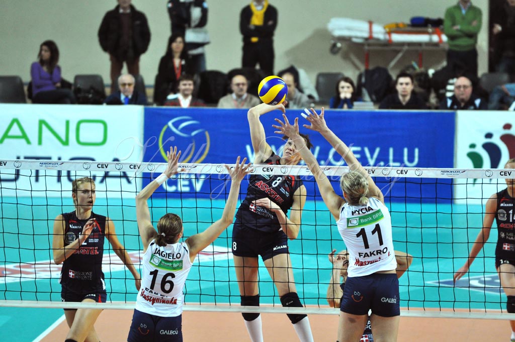 Asystel NO Muszynianka (12)